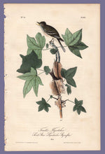 Load image into Gallery viewer, Audubon Octavo Print 65 Traill&#39;s Flycatcher 1840 First Edition, full sheet