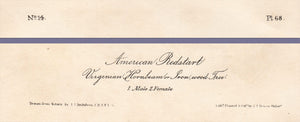 Audubon Octavo Print 68 American Redstart 1840 First Edition, text areas