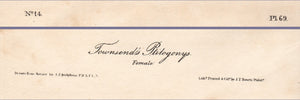 Audubon Octavo Print 69 Townsend's Ptilogonys 1840 First Edition, text areas
