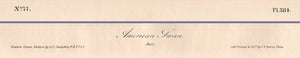 Audubon Octavo Print 384 American Swan 1840 First Edition, text areas