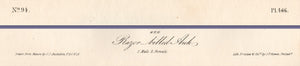 Audubon Octavo Print 466 Razor-Billed Auk, 1840 First Edition, text areas