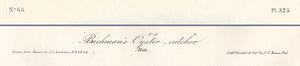 Audubon Octavo Print 325 Bachman's Oystercatcher, text areas