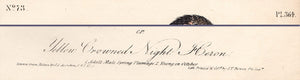 Audubon Octavo Print 364 Yellow Crowned Night Heron, text areas