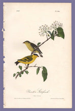 Load image into Gallery viewer, Audubon 1840 First Edition Royal Octavo Print 184 Yarrell&#39;s Goldfinch, full sheet