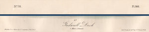 Audubon Octavo Print for sale Plate 388 Gadwall Duck 1840 First Edition, text view