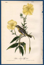 Load image into Gallery viewer, Audubon Octavo Print for sale Plate 490 Yellow Bellied Flycatcher 1840 First Edition, full sheet