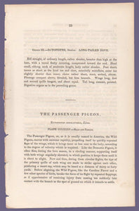 Text belonging to Audubon 1840 First Edition Royal Octavo Print 285 Passenger Pigeon