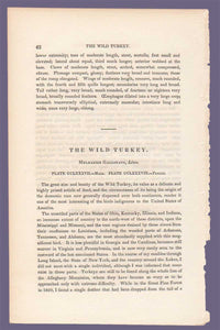 Original text page to Audubon Octavo Print 288 Wild Turkey, first edition 1840